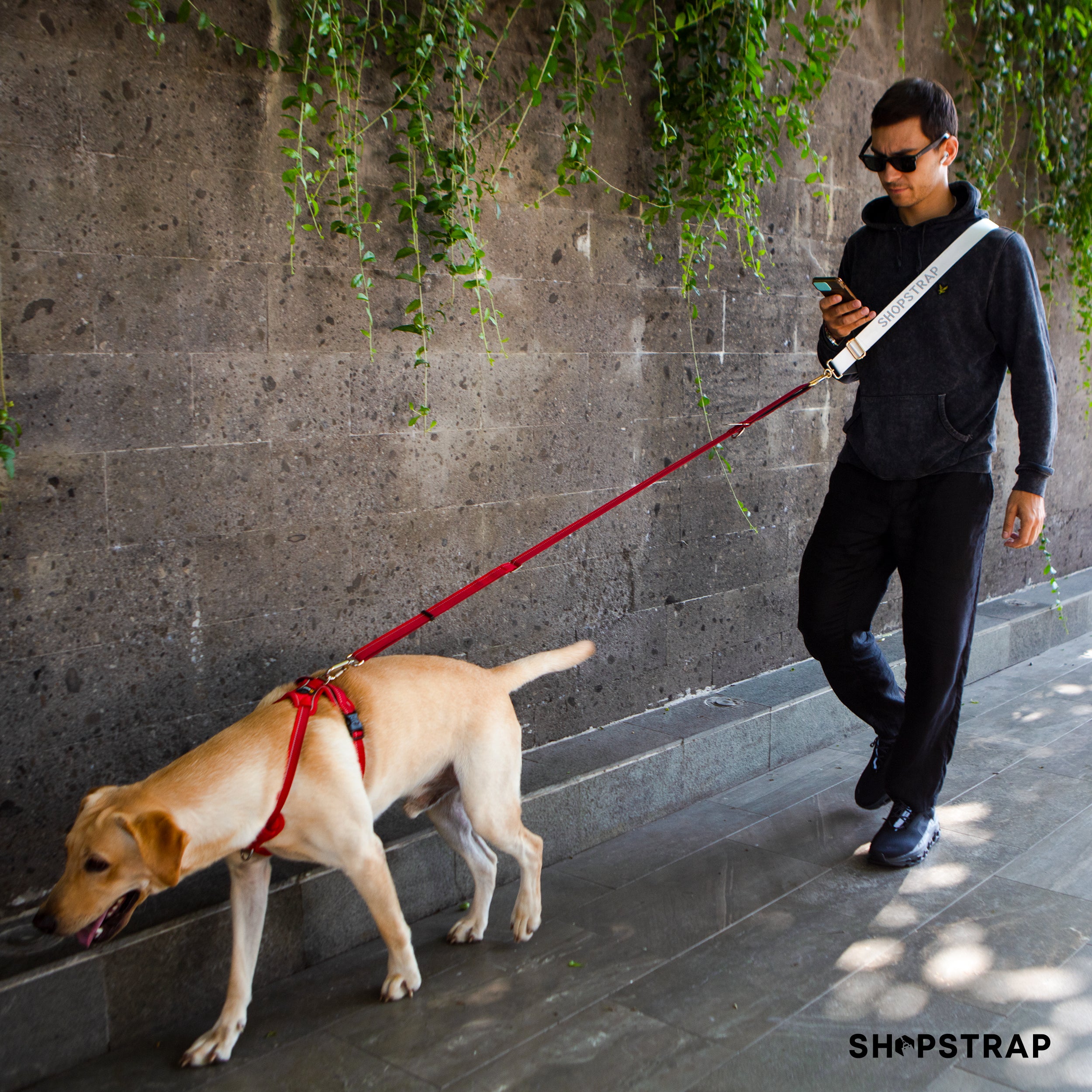Shopstrap versatile hands-free shopping strap, bag carrier, click and carry, Misty White, dog walking, hands free dog leash