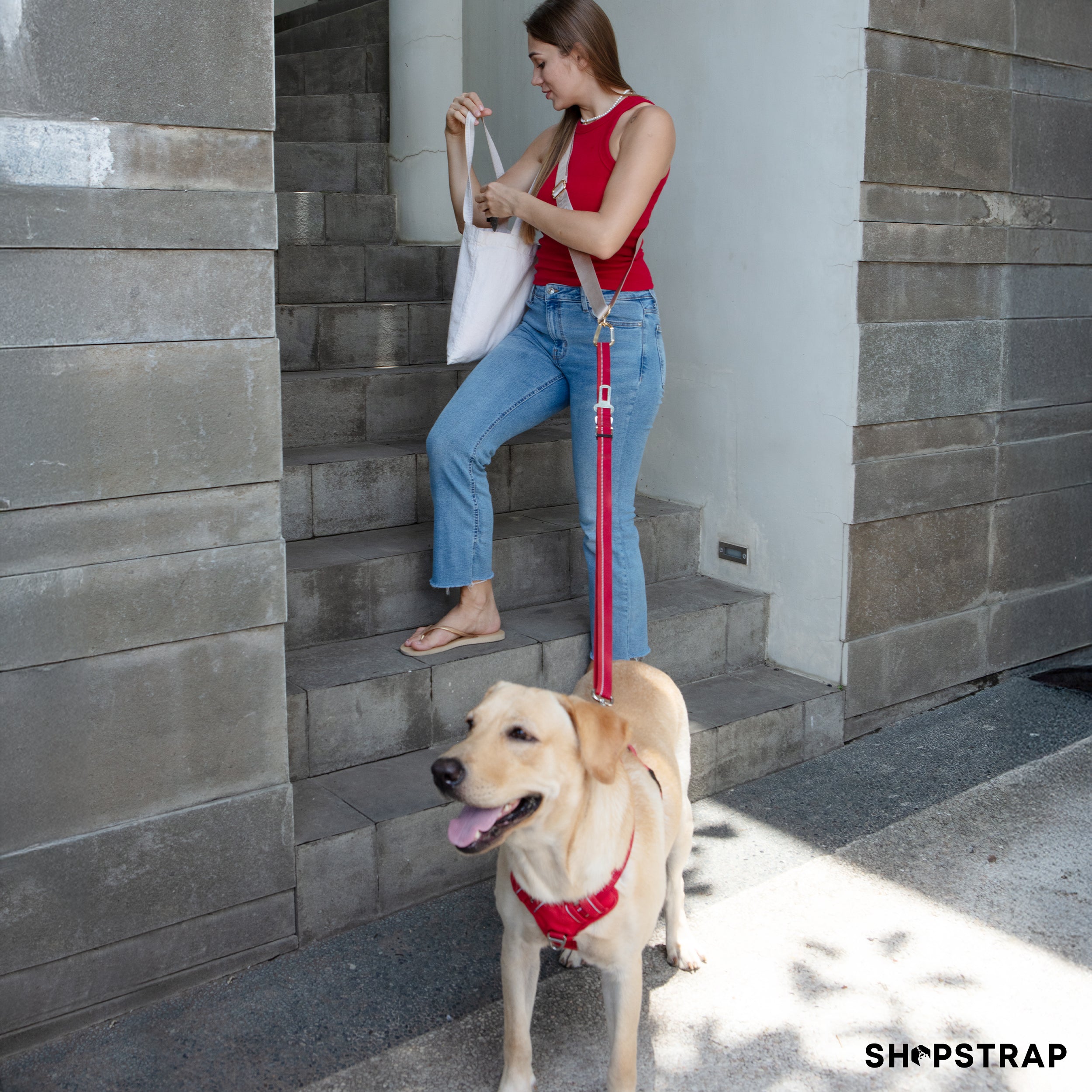 Shopstrap versatile hands-free shopping strap, bag carrier, click and carry, Shopstrap Beige, dog walking, hands free dog leash